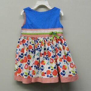 Girls size 3T Dress Strawberry Blueberry Checked